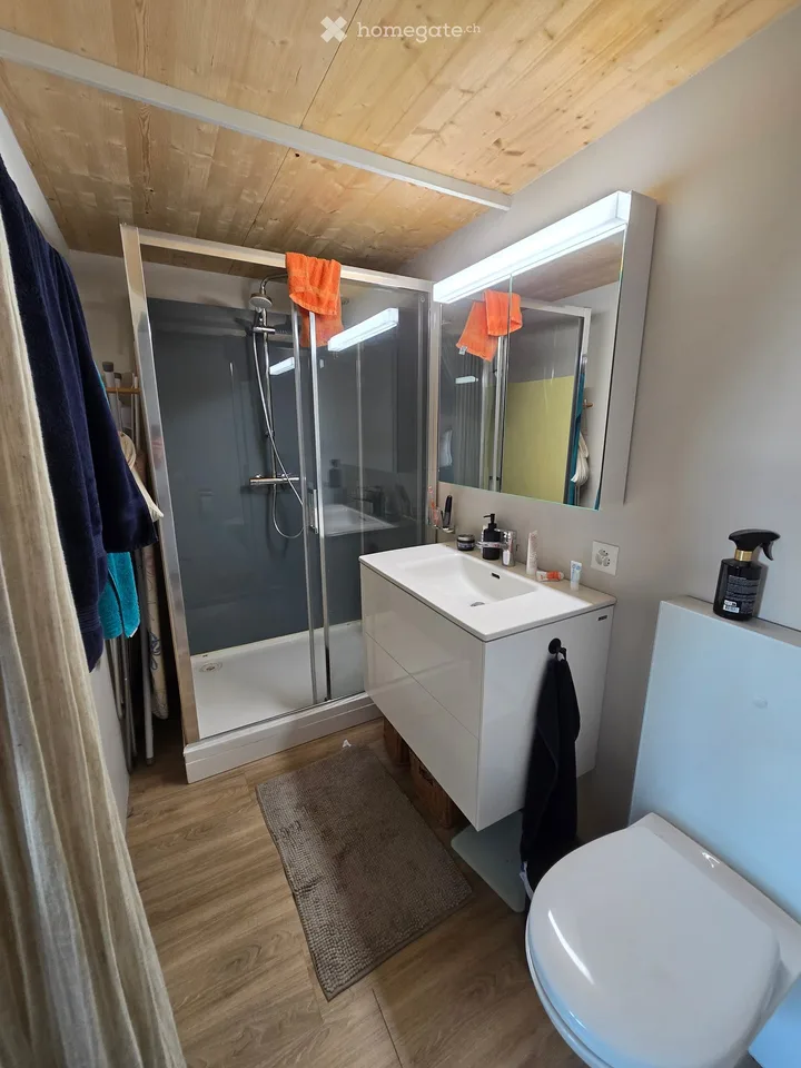 Affascinante loft di 1,5 locali a Niederglatt ZH – disponibile immediatamente