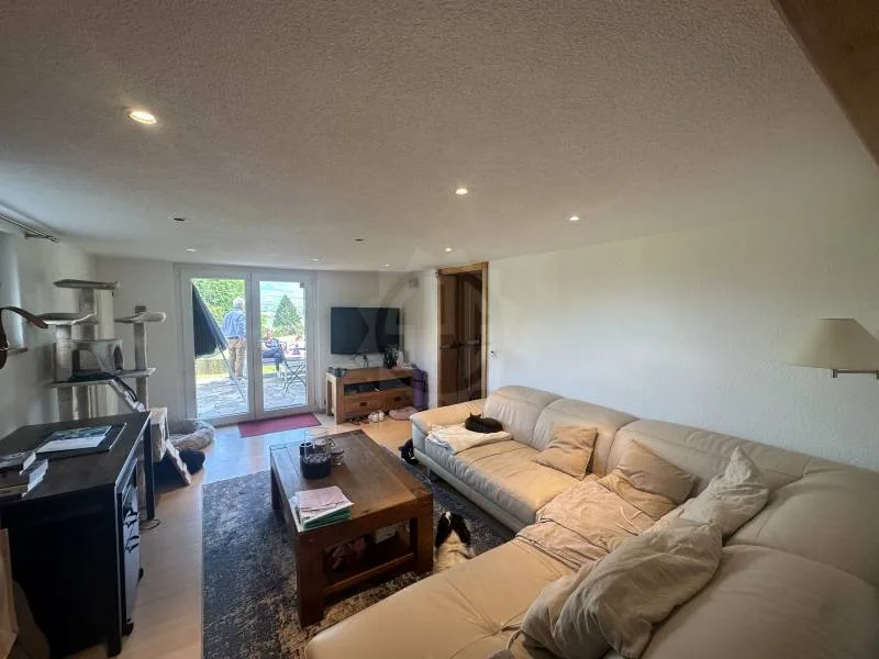 Pleasant Apartment - Confignon