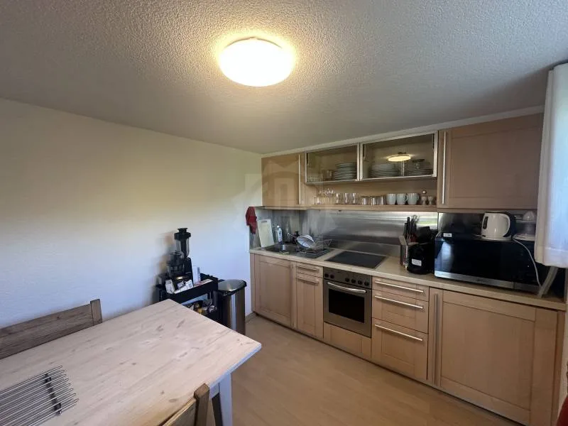 Pleasant Apartment - Confignon