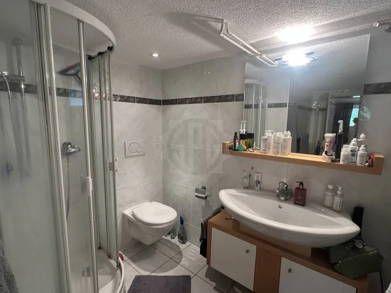 Pleasant Apartment - Confignon