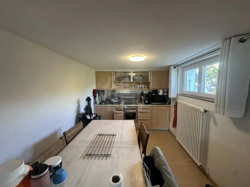 Pleasant Apartment - Confignon