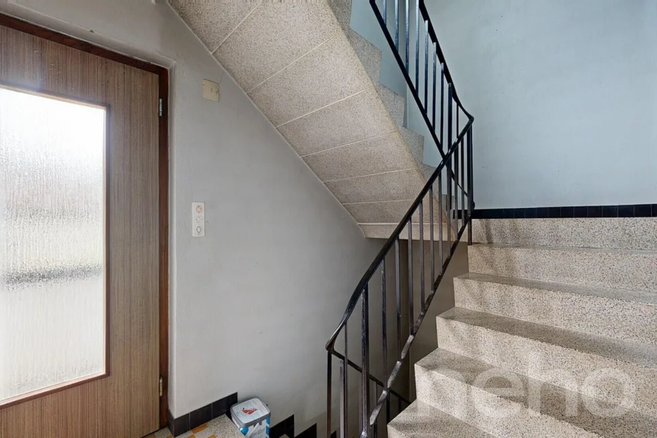 Mehrfamilienhaus im grünen Plasselb
