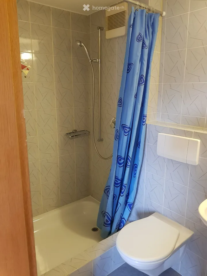 möbilierte 1-Zi-Wohnung