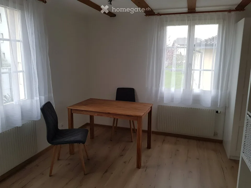 möbilierte 1-Zi-Wohnung