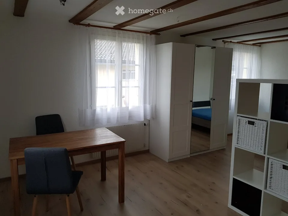 möbilierte 1-Zi-Wohnung