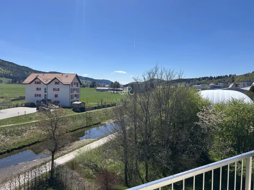 Bel appartement haut standing - Duplex en Attique