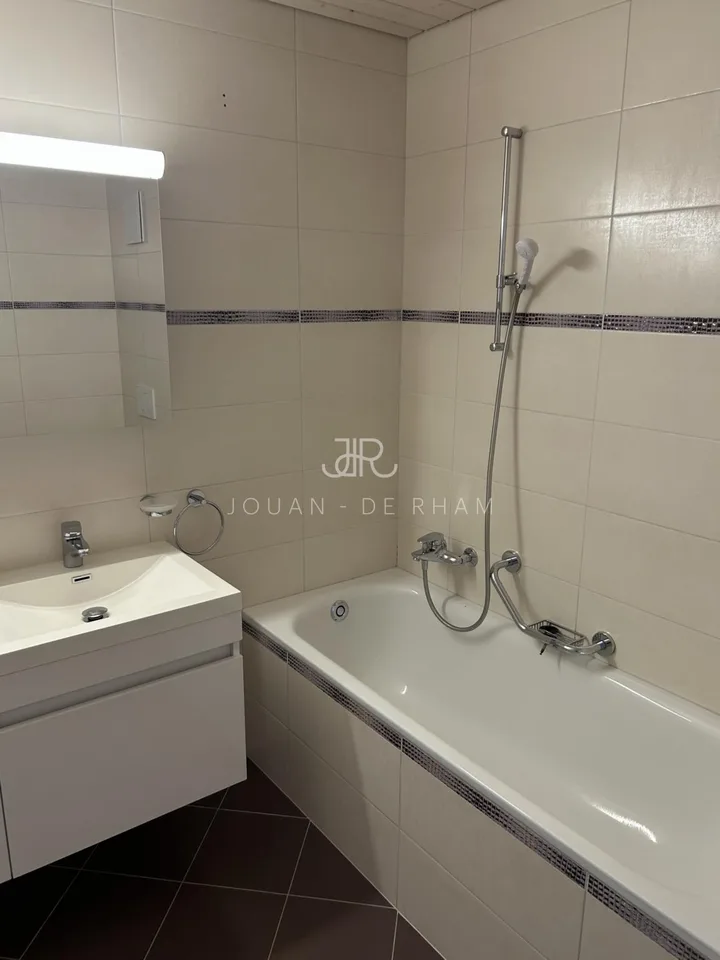 Bel appartement haut standing - Duplex en Attique