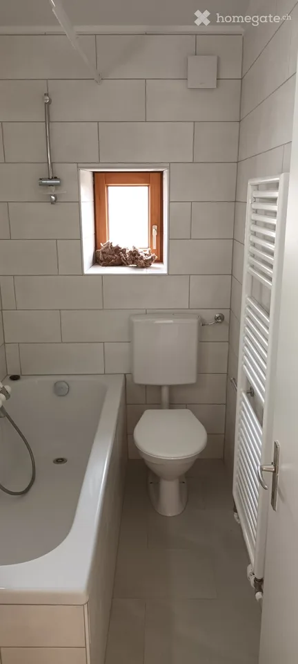 Appartement 3.5pcs rénové en 2023