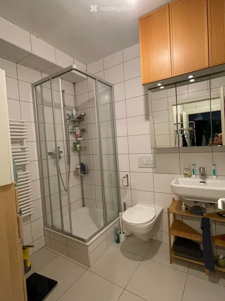 Atipico! Bella camera-loft arredata, di 45m2, a Lavaux