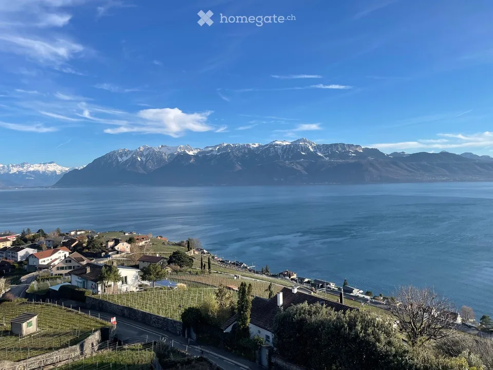Atipico! Bella camera-loft arredata, di 45m2, a Lavaux