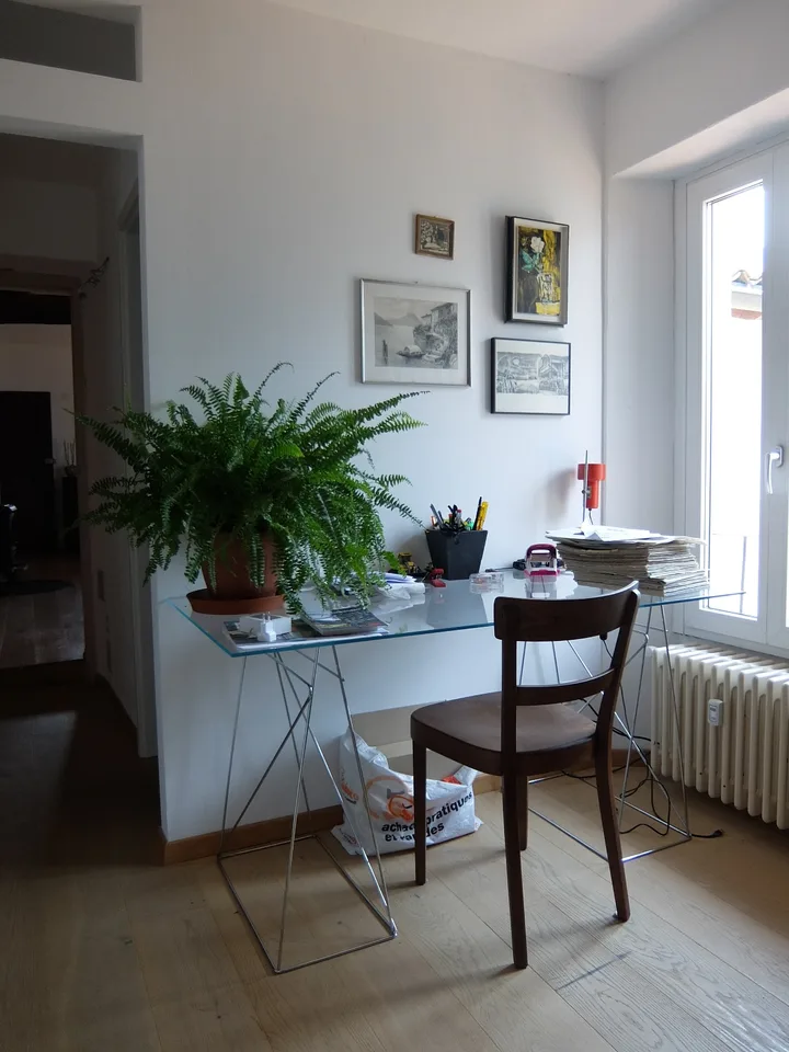Si affitta a Gandria straordinario appartamento con giardino e vista lago