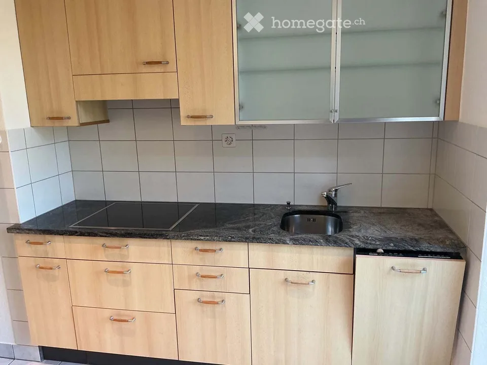 Appartamento accogliente di 3 locali con balcone/area di giardino a Rothenfluh