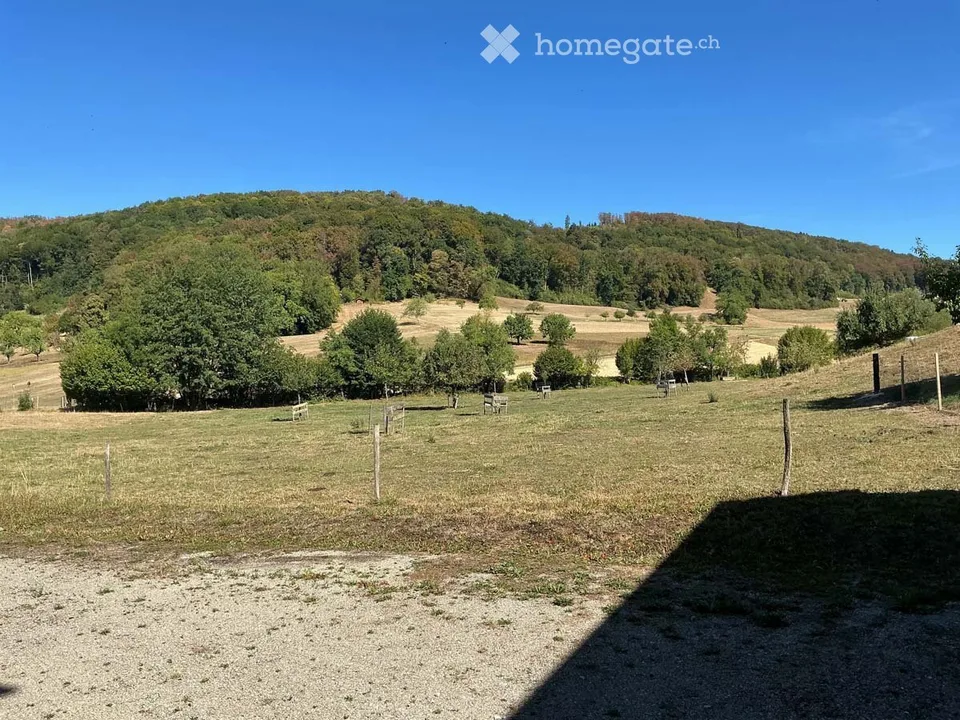 Gemütliche 3-Zimmer-Wohnung mit Balkon/Gartensitzplatz in Rothenfluh