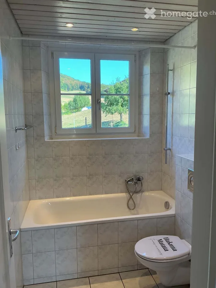 Appartamento accogliente di 3 locali con balcone/area di giardino a Rothenfluh