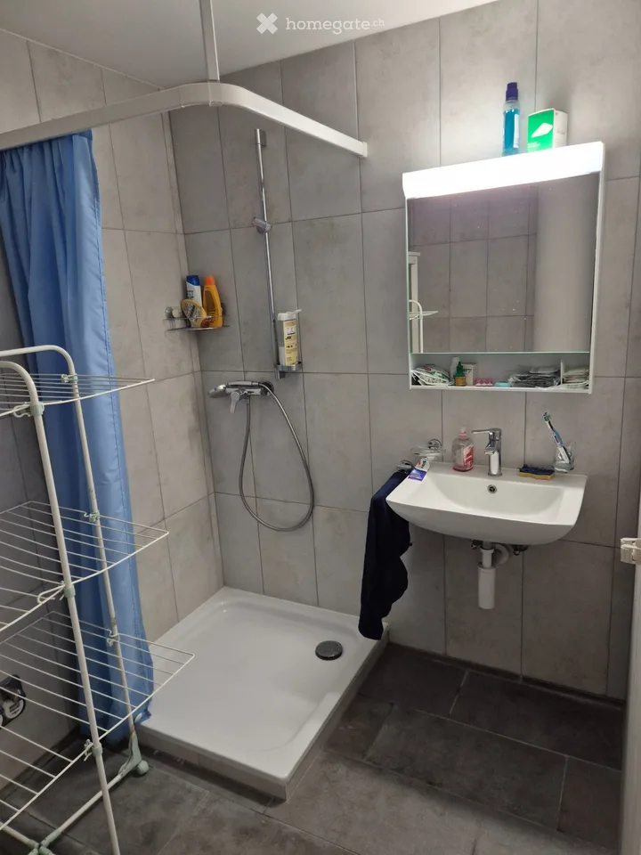 Appartement im Zentrum 42 m² Terrasse, Parkplatz möglich, möbliert