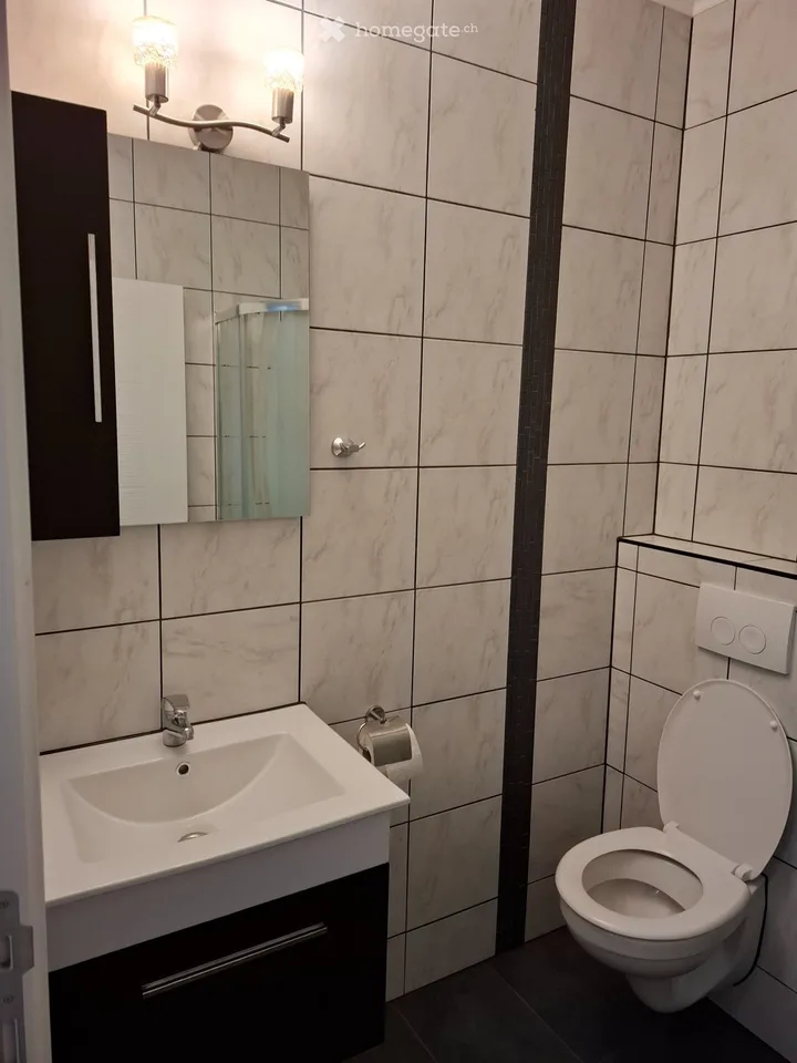 Studio-Wohnung in Eiken  ab 01.11.2026