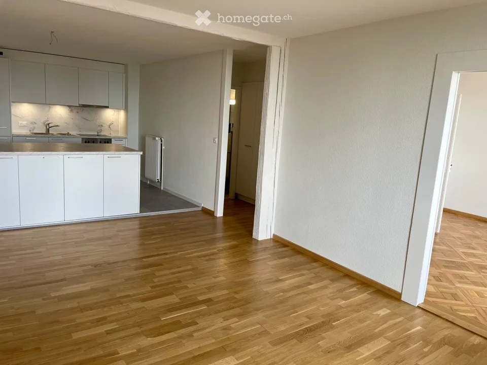 Magnificent 4.5 rooms close to the train station - fully renovated!