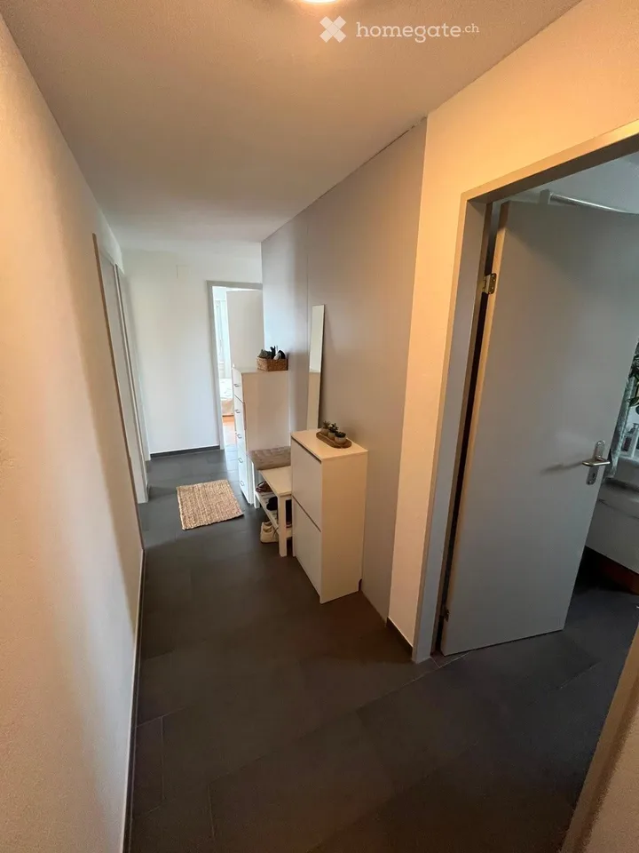 Tenant sought for 4-room apartment in Frauenfeld