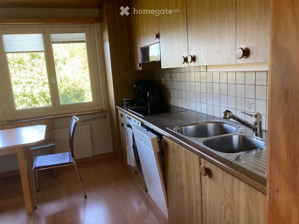 Large furnished 3.5-room ground floor apartment for temporary rent