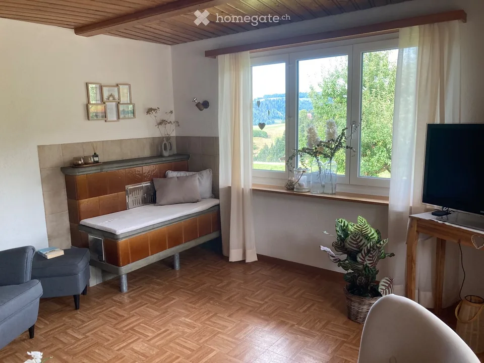 Large furnished 3.5-room ground floor apartment for temporary rent