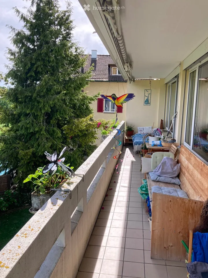 5.5 Room Apartment from 1.9.2026