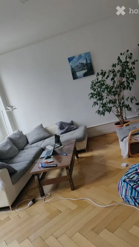 Chambre en colocation au plus vite
