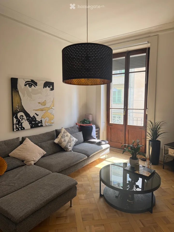 Splendide appartement 80m2 rénové dans centre de Genève