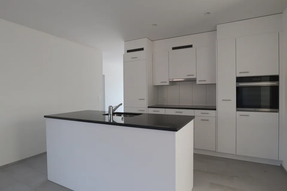 Modern apartment in Winterthur-Wülflingen