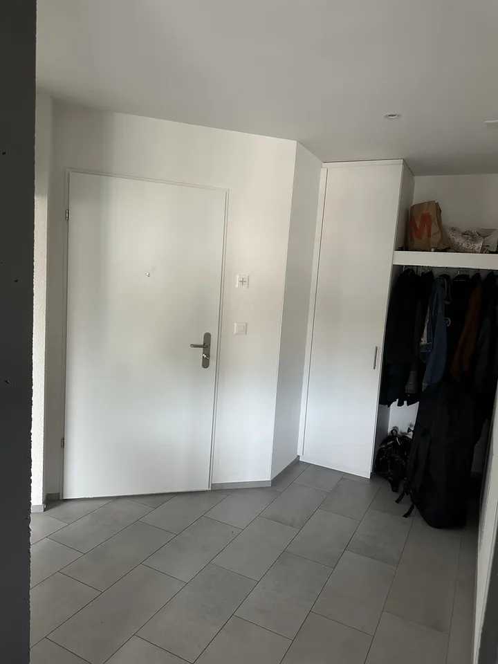 Modern apartment in Winterthur-Wülflingen