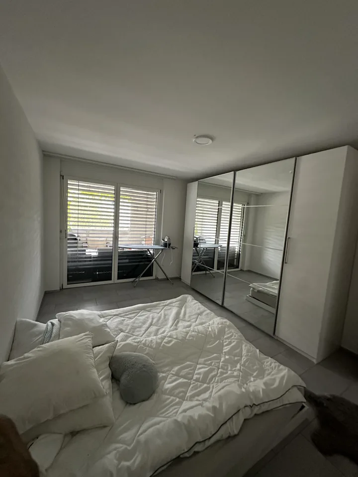 Modern apartment in Winterthur-Wülflingen