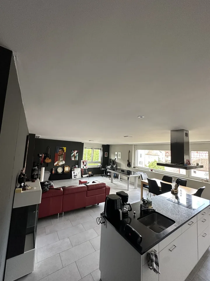 Modern apartment in Winterthur-Wülflingen