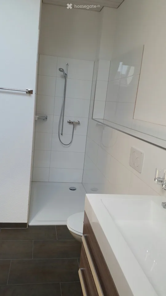 Charmante 4.5-Zimmer-Duplexwohnung in Sitterdorf – Altbau mit modernem Komfort