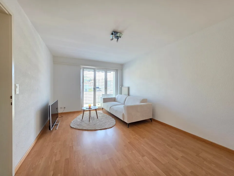 Ampio appartamento di 2 locali in affitto in una zona residenziale centrale