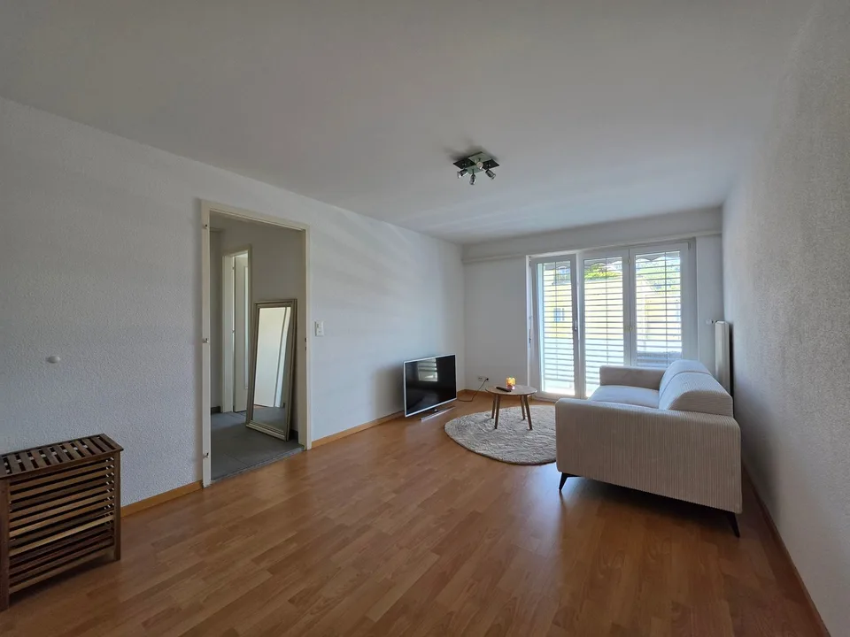 Ampio appartamento di 2 locali in affitto in una zona residenziale centrale