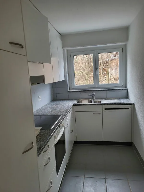 A small dream in 2 rooms is looking for a new tenant in Untersiggenthal