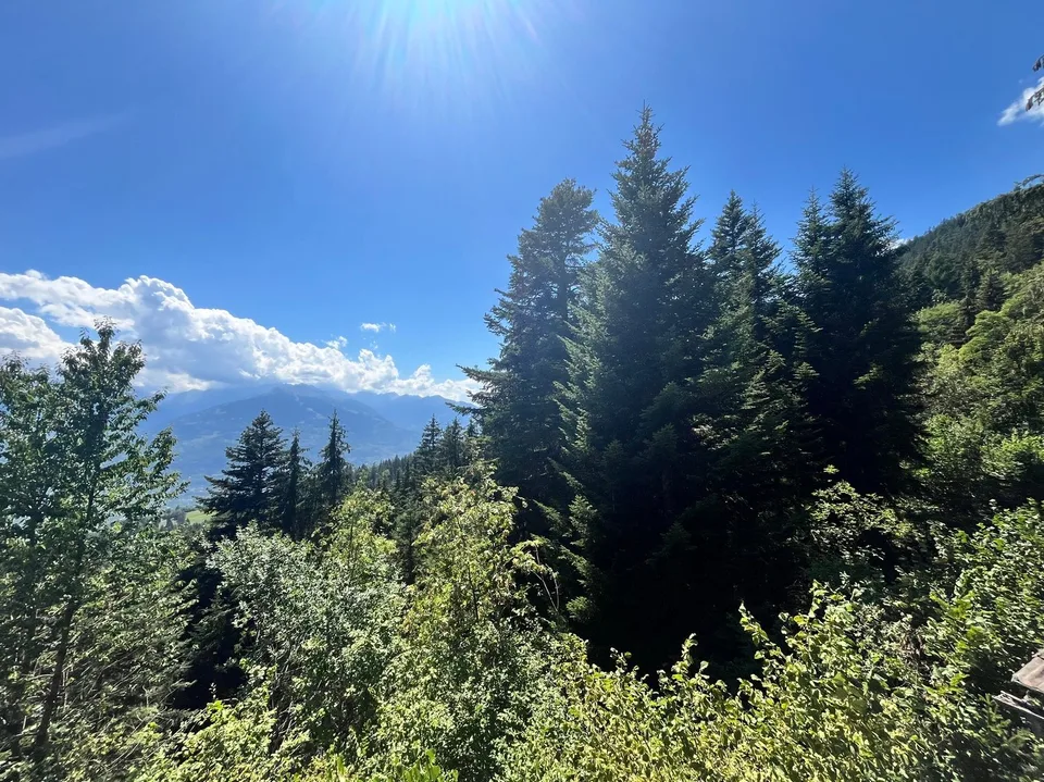 Chalet "Coteau Fleuri" / 4.5 pces / Anzère /réf. 10267763 /EXCLUSIVITE