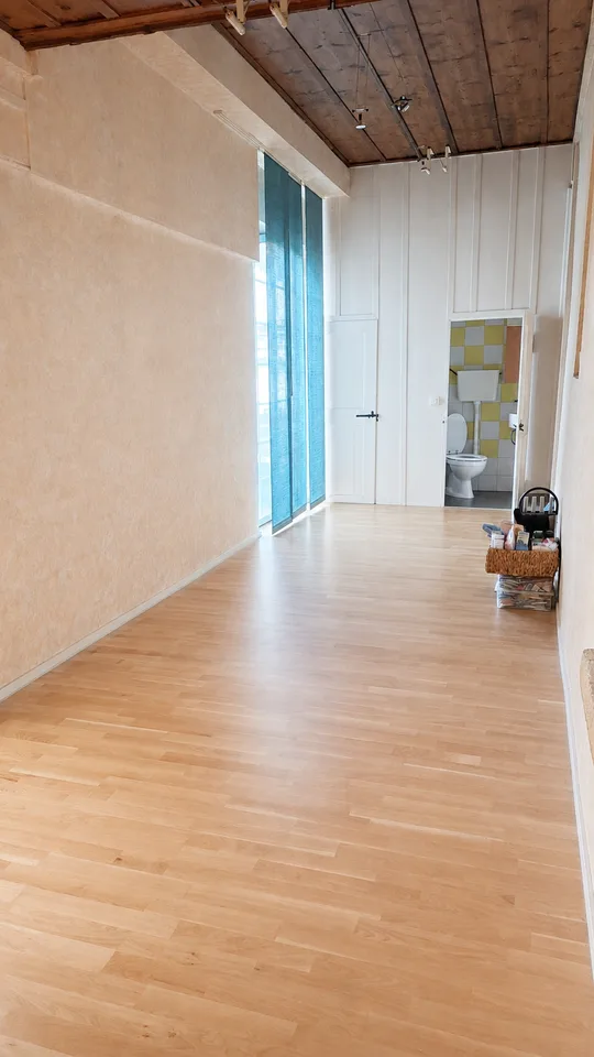 Charming 6.5-room apartment with garden in the old town of Erlach