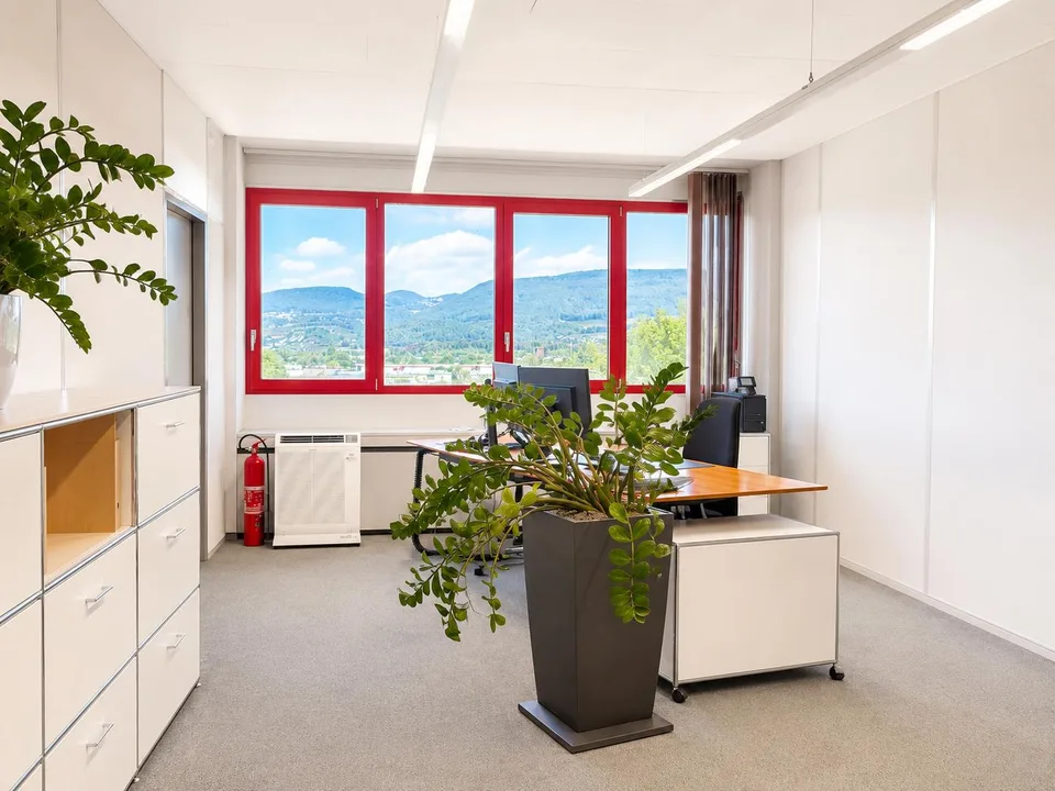 Helle Bürofläche in Buchs