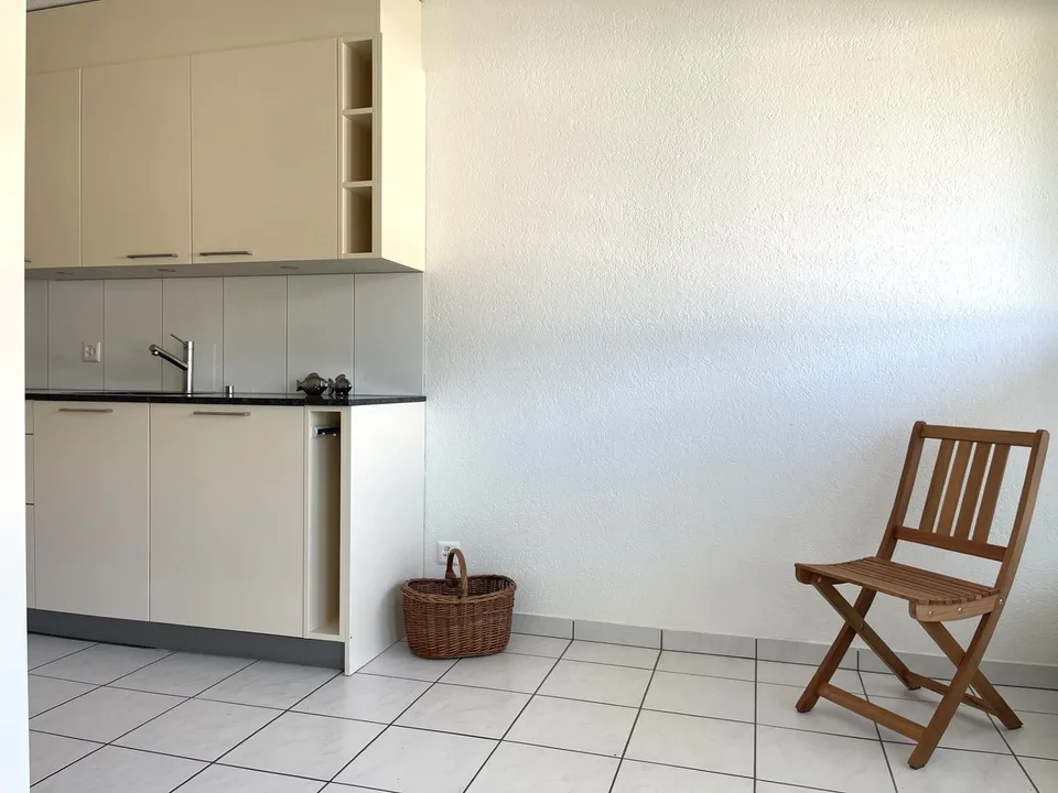 Schéma d'étage magnifique, balcon et terrasse sur le toit