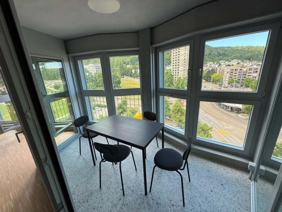 Stilvolles 2.5-Zimmer-Loft-Apartment auf der 9. Etage in Zürich-Triemli