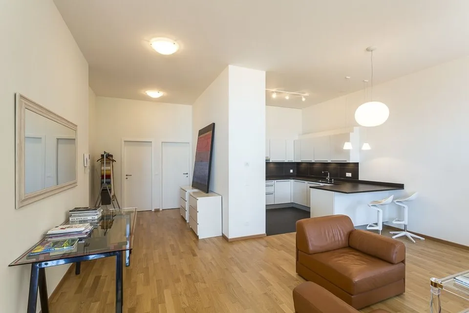 Bel appartement urbain, situation idéale face au lac
