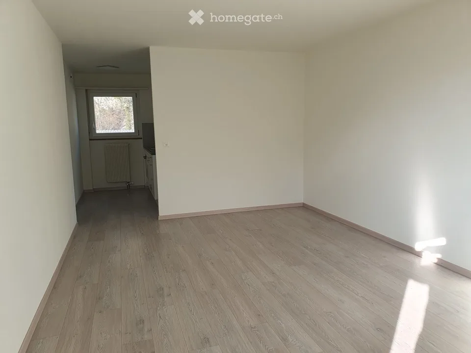 Bright 1.5-room apartment for rent on the second floor