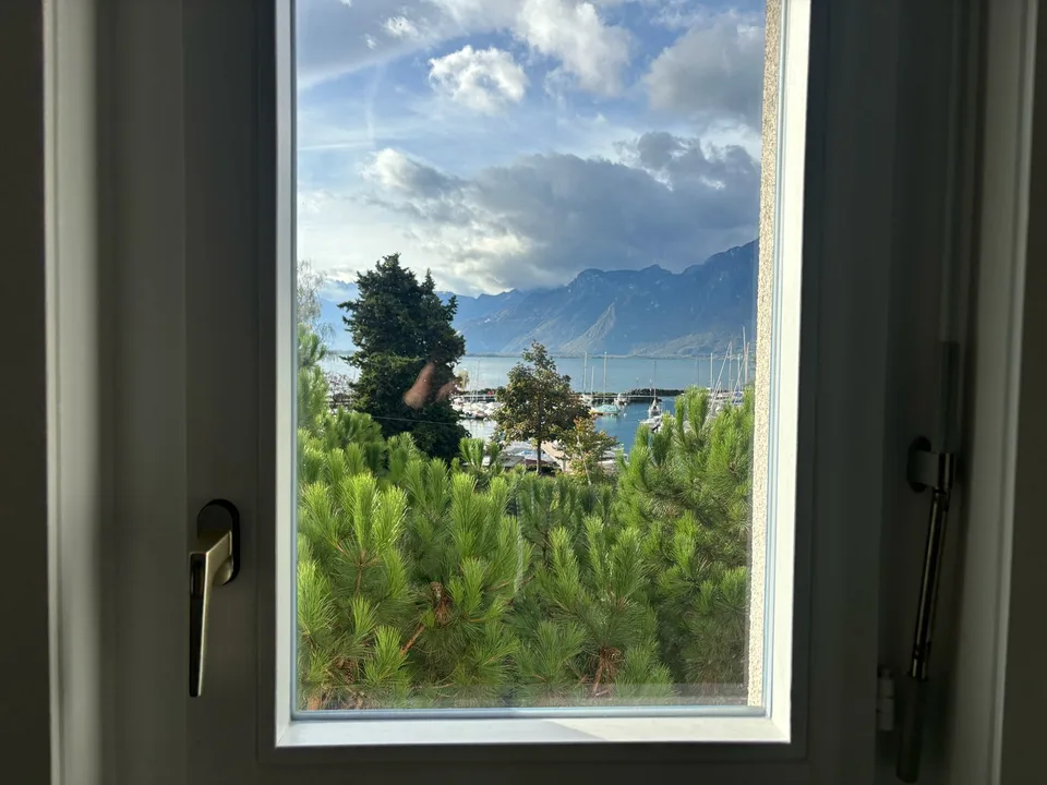 Prächtige 3,5-Zimmer-Wohnung mit Kamin in Clarens