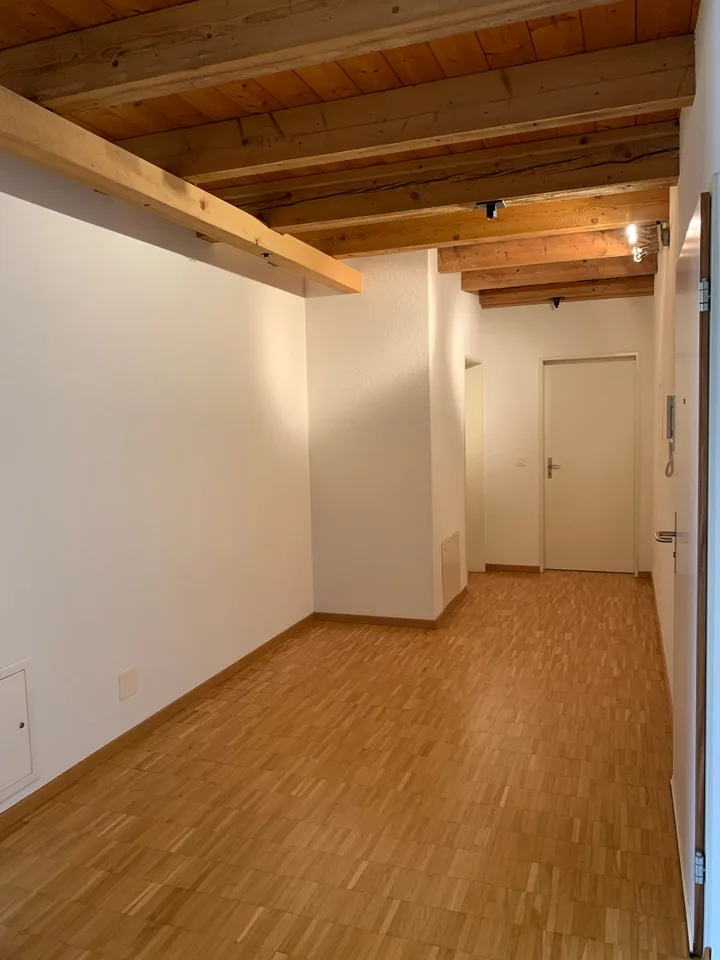 Delizioso appartamento di 3,5 locali in centro paese in affitto!