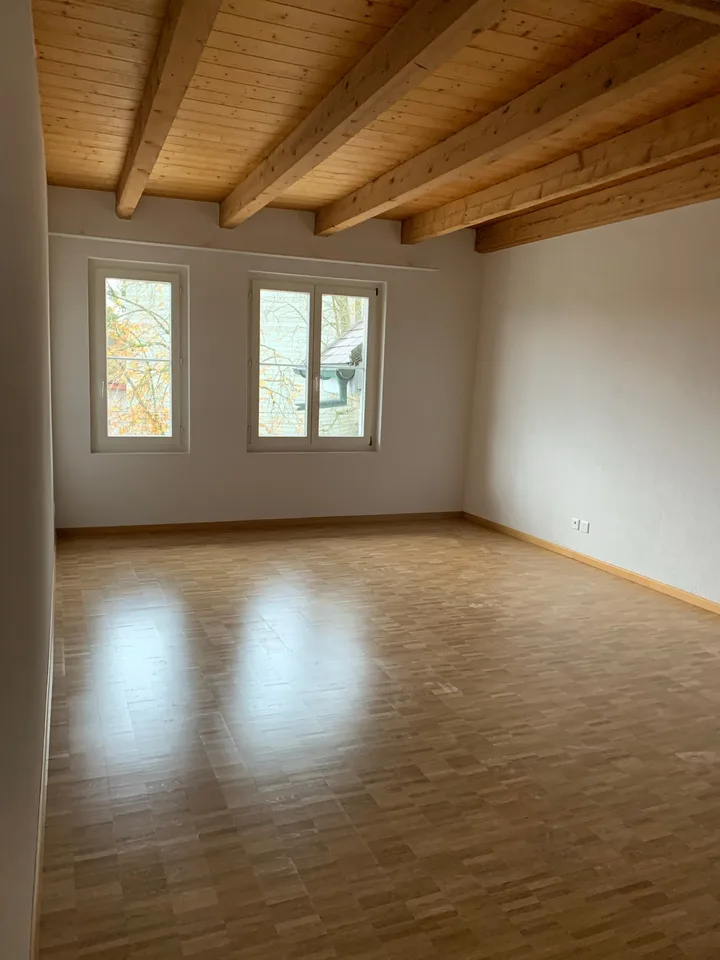 Delizioso appartamento di 3,5 locali in centro paese in affitto!