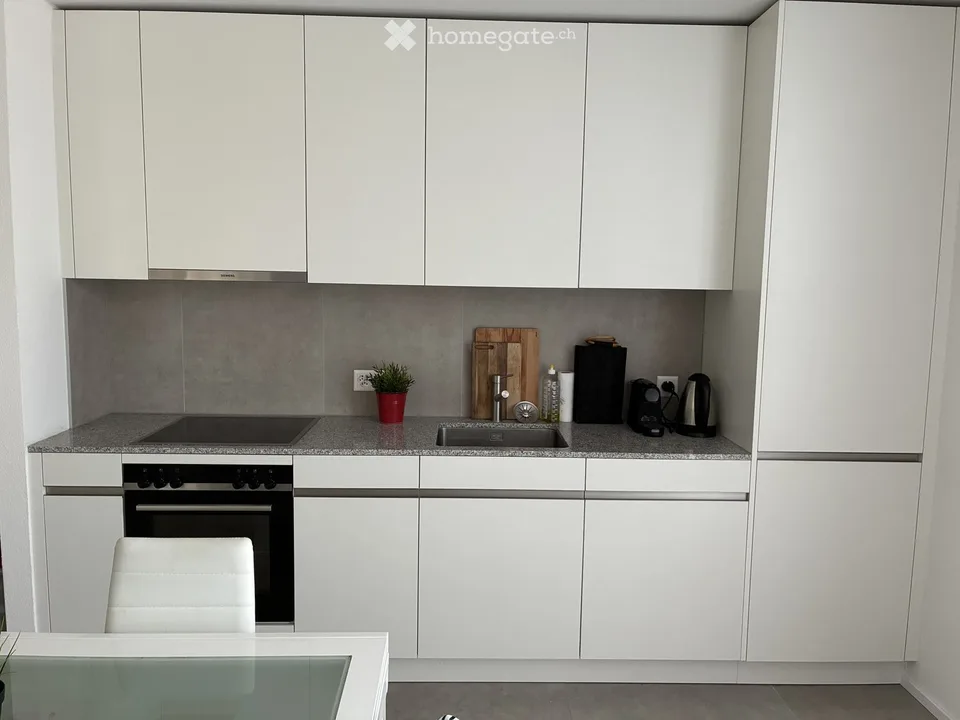 Magnifique Appartement neuf de 2.5 pièces avec balcon à Crissier