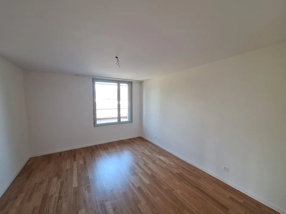 Newly renovated 3.5-room apartment with balcony in Oftringen