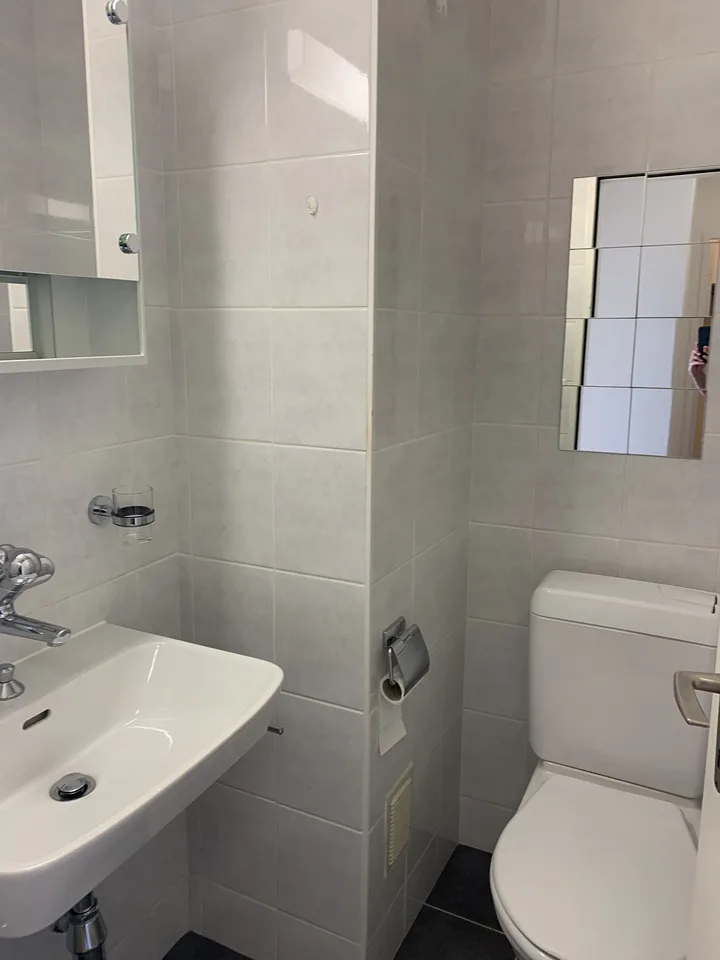 Beautiful renovated studio for rent in Coppet, ideally located