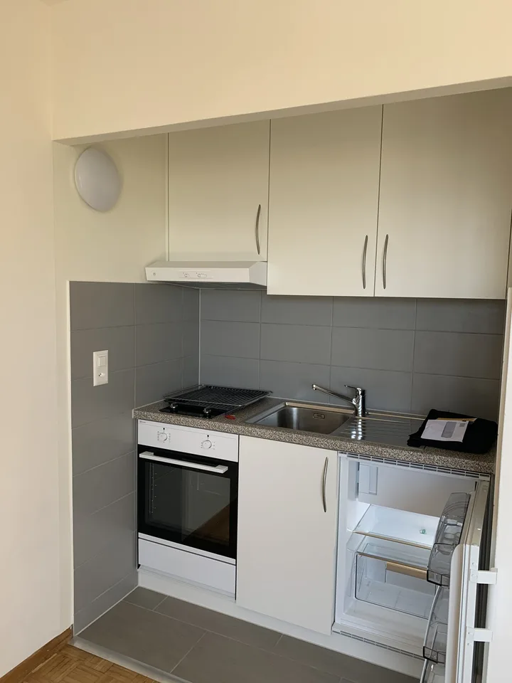 Beautiful renovated studio for rent in Coppet, ideally located