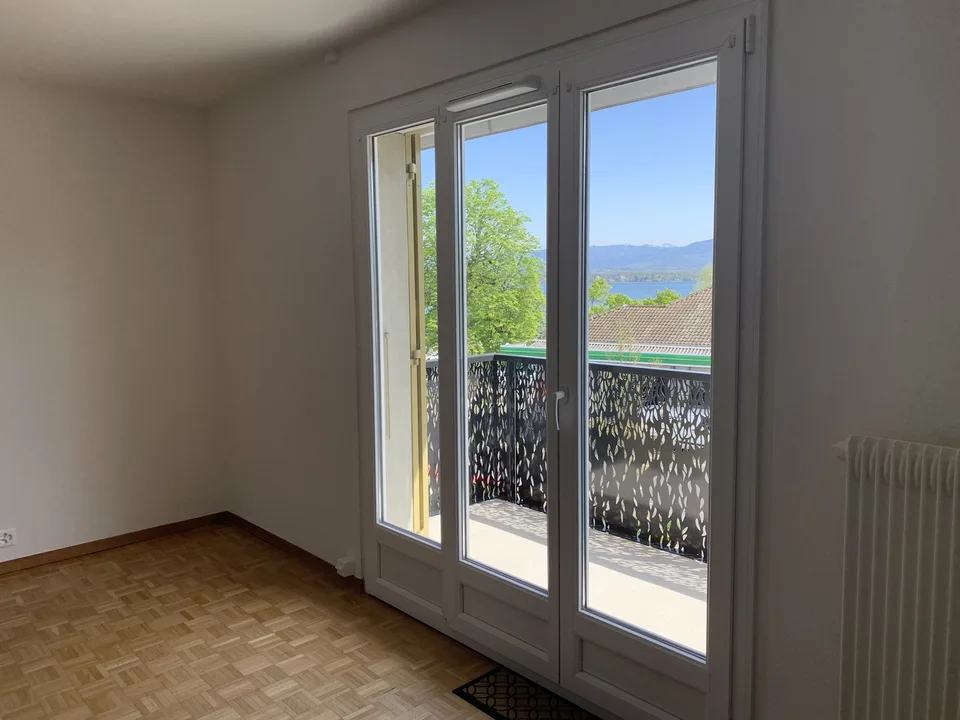 Beautiful renovated studio for rent in Coppet, ideally located